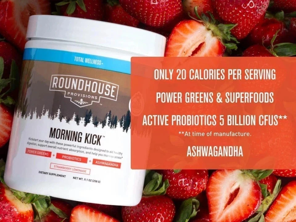 Roundhouse MORNING KICK Provisions Digestion Strawberry Lemonade New 9.1oz box 